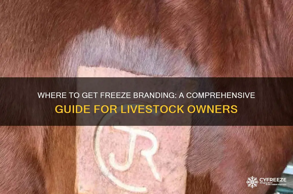 where can i get freeze branded