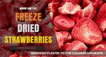 Discover the Best Places to Buy Freeze-Dried Strawberries Online
