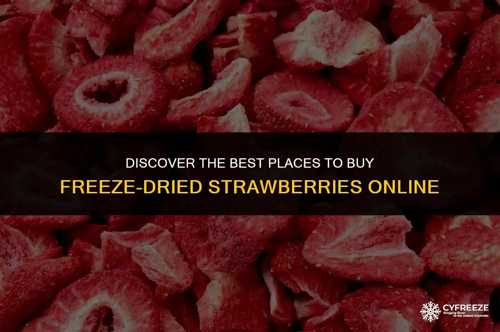 where can i get freeze dried strawberries