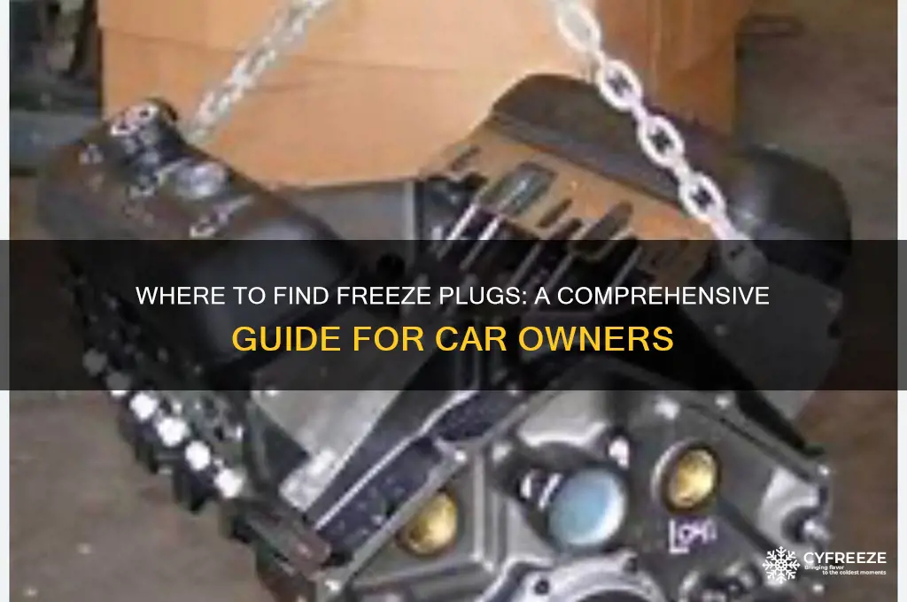 where can i get freeze plugs