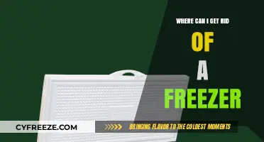 Eco-Friendly Freezer Disposal: Where to Recycle or Remove Your Old Appliance