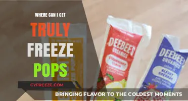 Discover the Best Places to Find Truly Authentic Freeze Pops