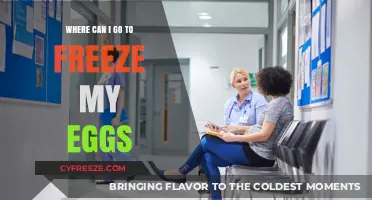 Exploring Options: Where to Freeze Your Eggs for Future Fertility