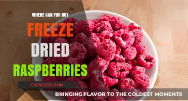 Discover the Best Places to Buy Freeze-Dried Raspberries Online