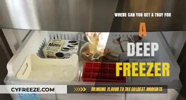 Best Places to Buy Trays for Your Deep Freezer Organization