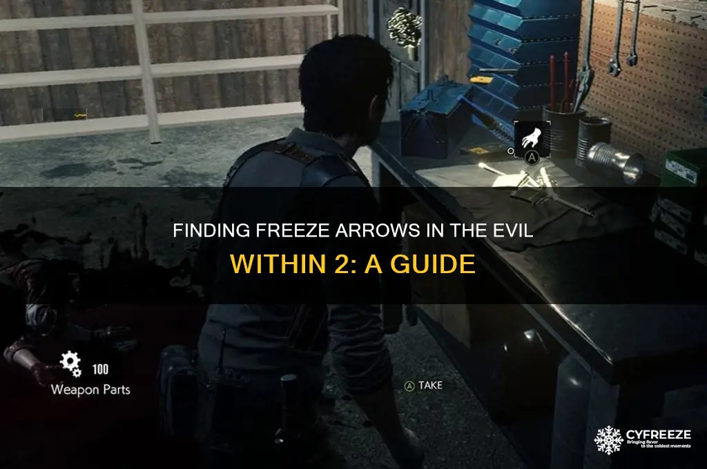 where do i get the freeze arrows in evil within2