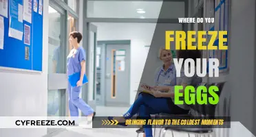 Egg Freezing 101: Your Guide to Preserving Fertility
