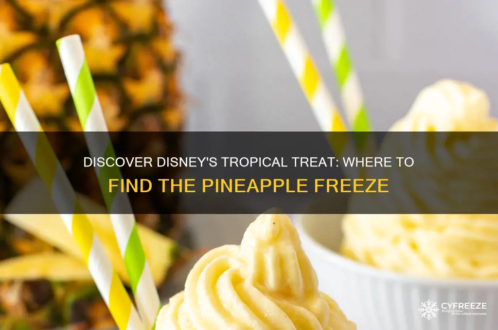 where in disney can you get a pinapple freeze