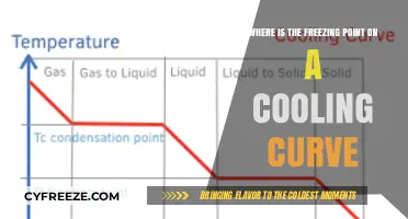 Understanding the Freezing Point Location on a Cooling Curve Graph
