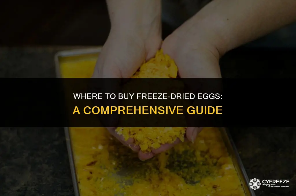where to buy freeze dried eggs