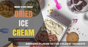 Discover the Best Places to Buy Freeze-Dried Ice Cream Online