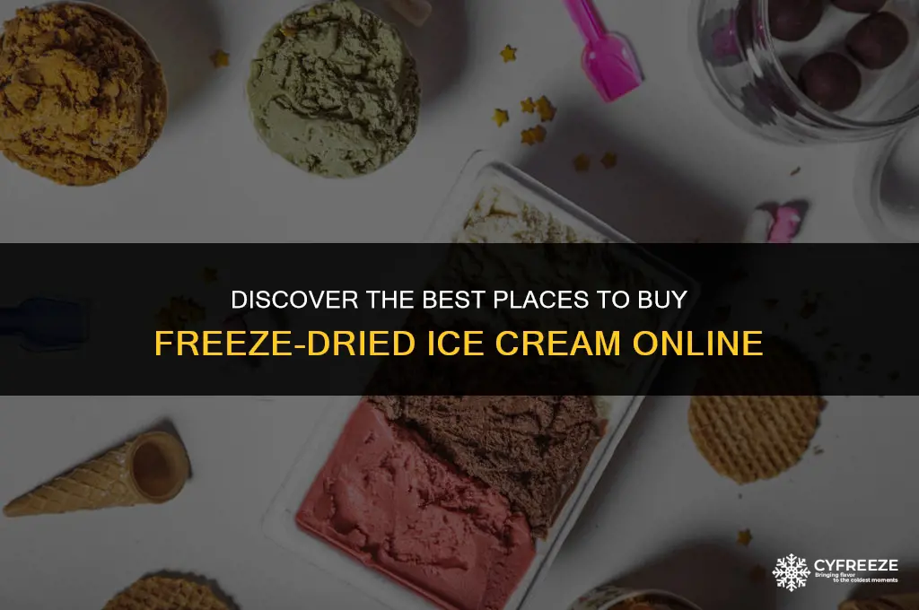 where to buy freeze dried ice cream