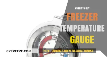 Best Places to Purchase Reliable Freezer Temperature Gauges Online
