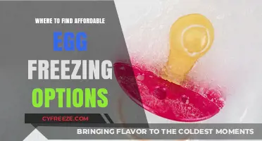 Exploring Budget-Friendly Egg Freezing Solutions: A Comprehensive Guide
