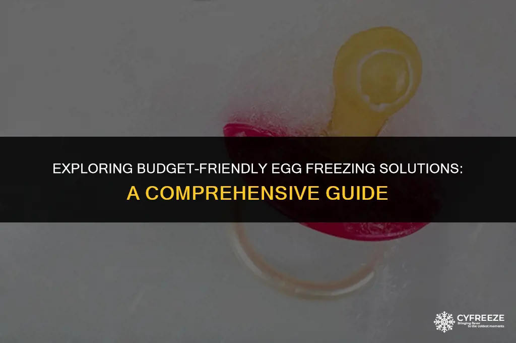 where to find affordable egg freezing options