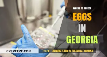 Egg Freezing Options in Georgia: A Comprehensive Guide