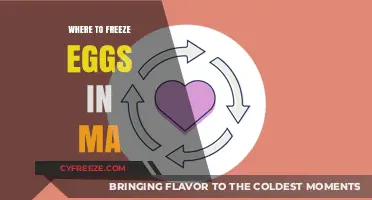 Egg Freezing Options in Massachusetts: A Comprehensive Guide