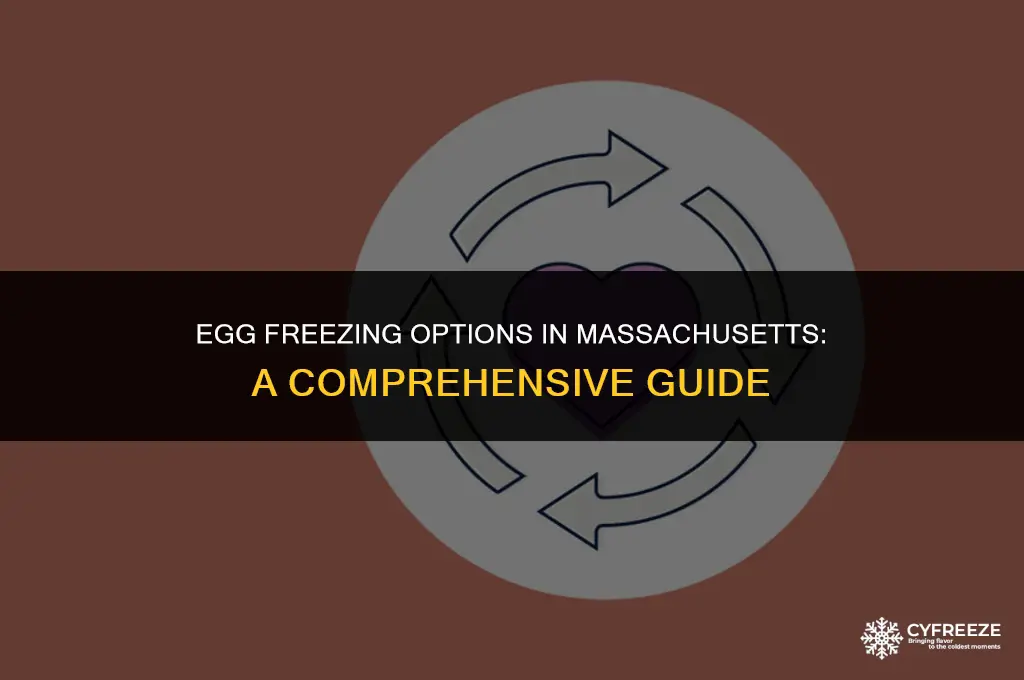 where to freeze eggs in ma