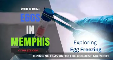 Egg Freezing in Memphis: Your Guide to Preserving Fertility Locally