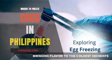 Egg Freezing in the Philippines: A Comprehensive Guide