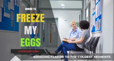 Top Egg Freezing Clinics: Where to Freeze Your Eggs Safely