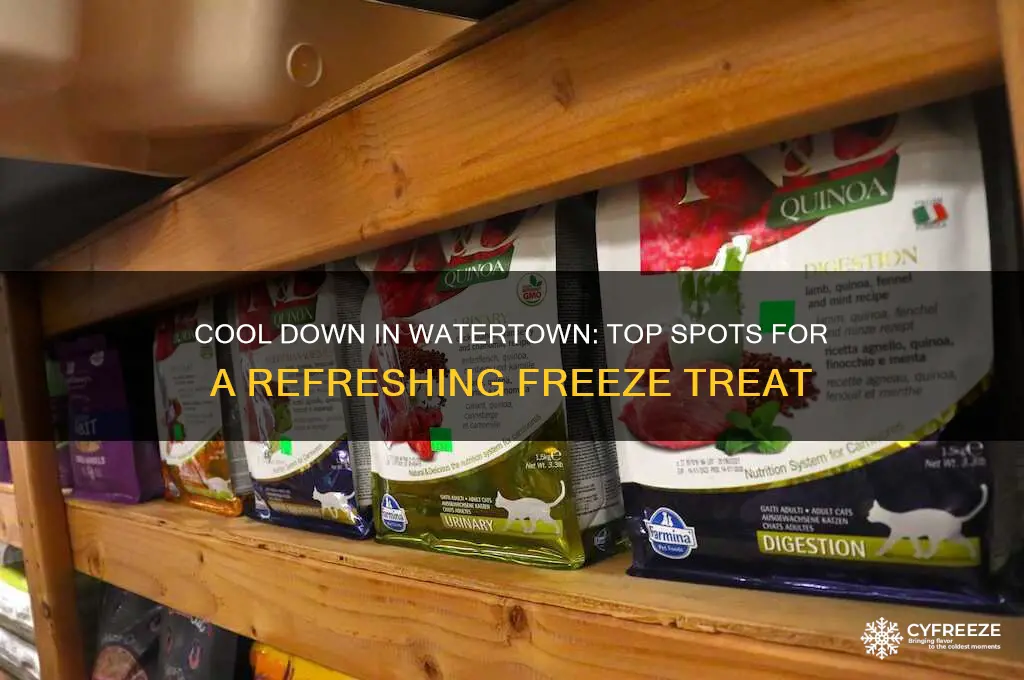 where to get a freeze in watertown