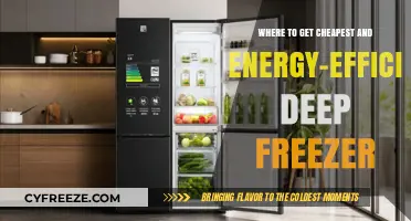 Affordable, Energy-Efficient Deep Freezers: Top Budget-Friendly Options