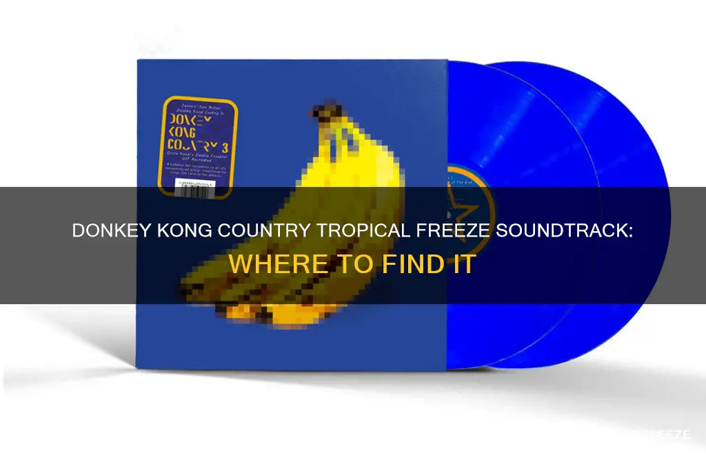 where to get donkey kong country tropical freeze soundtrack