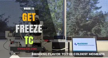 Discover Top Sources for Freeze TC: Your Ultimate Guide to Availability