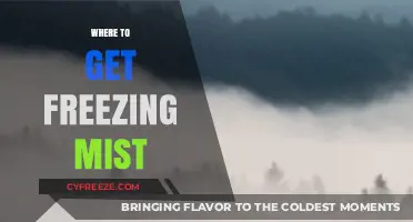 Discover the Best Sources for Freezing Mist: A Comprehensive Guide