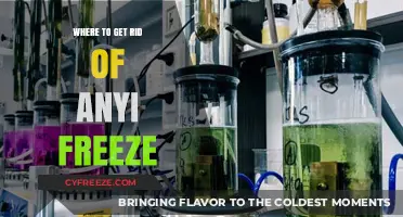 Effective Ways to Dispose of Antifreeze Safely and Responsibly