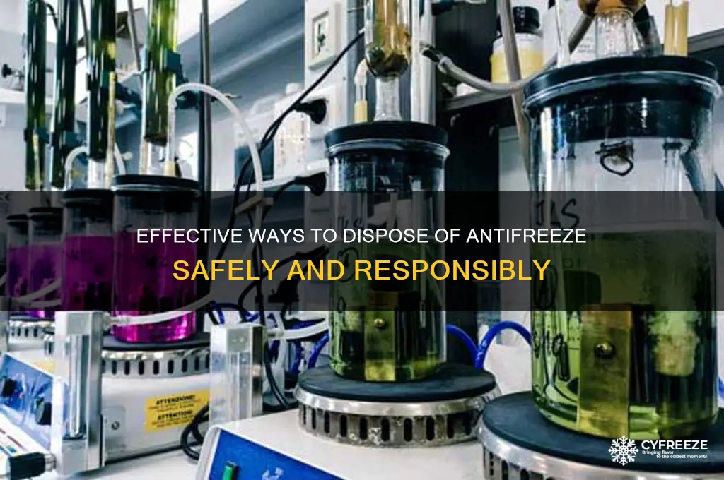 where to get rid of anyi freeze