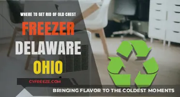 Delaware, Ohio: Best Options for Disposing Old Chest Freezers Locally