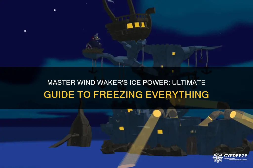 where to get the power to freeze everything windwaker