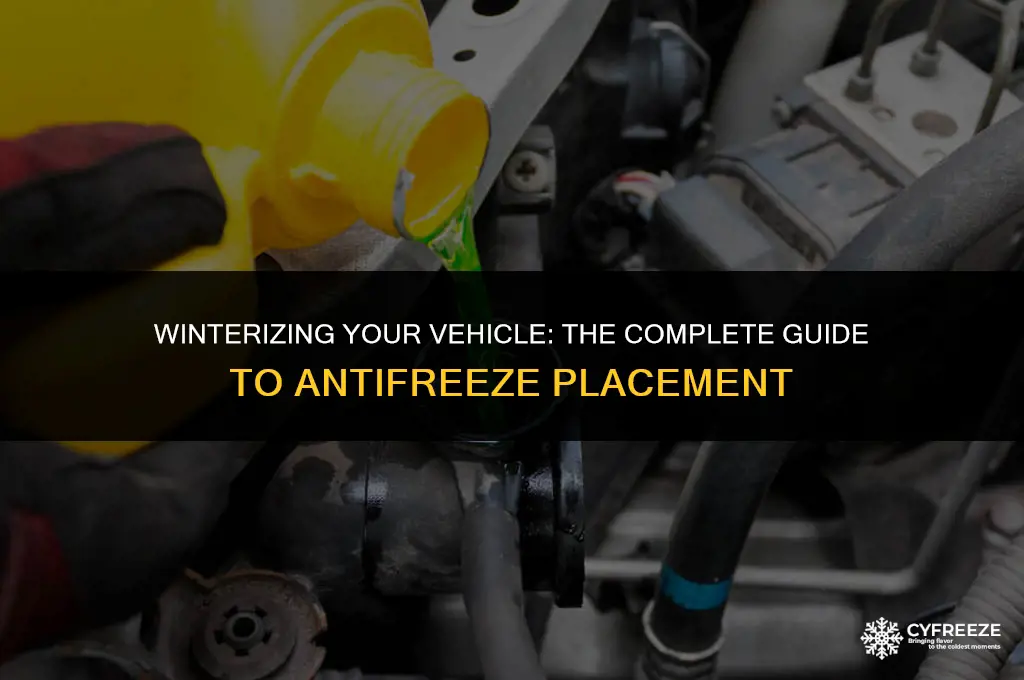 where to put anti freeze