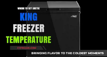 Optimal Arctic King Freezer Temperature Settings for Freshness and Efficiency