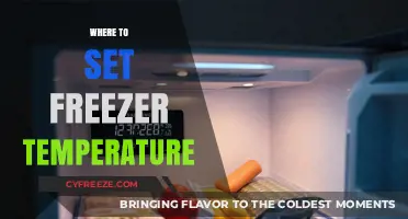 Optimal Freezer Temperature Settings for Food Safety and Efficiency
