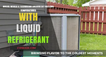 Where Technicians Face Freezing Temps: Liquid Refrigerant's Coldest Encounters
