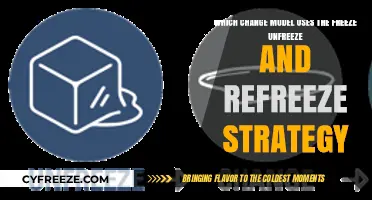 Understanding Lewin's Change Model: The Freeze-Unfreeze-Refreeze Strategy Explained