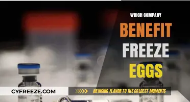 Egg-Freezing Benefits: Which Companies Lead the Way?