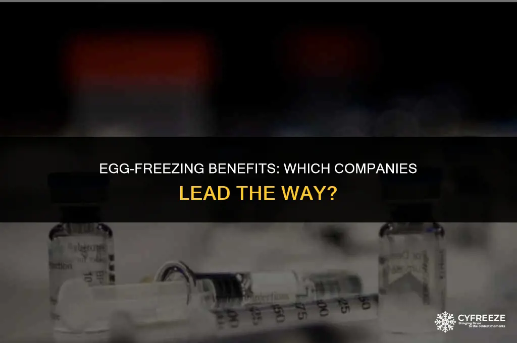 which company benefit freeze eggs