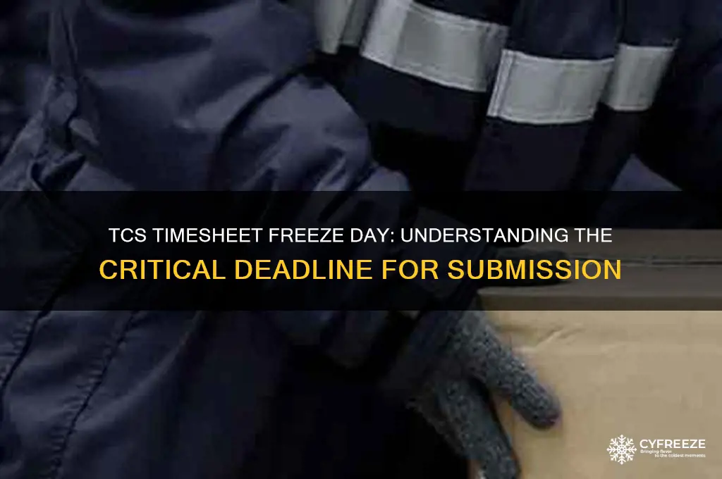which day timesheet gets freeze in tcs