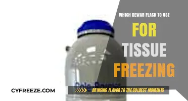 Choosing the Right Dewar Flask for Optimal Tissue Freezing