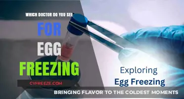 Choosing the Right Specialist for Your Egg Freezing Journey