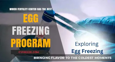 Top Fertility Centers for Egg Freezing: A Comprehensive Guide