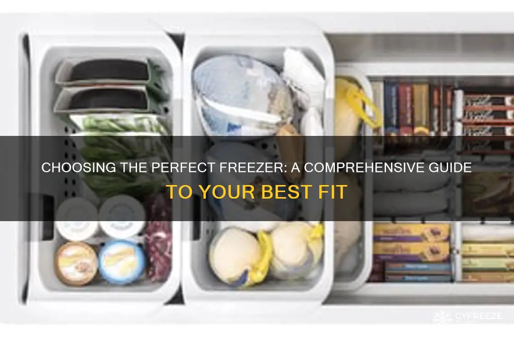 which freezer should i get