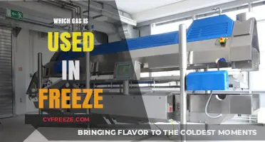 Understanding the Gas Used in Freezing Technology and Its Applications