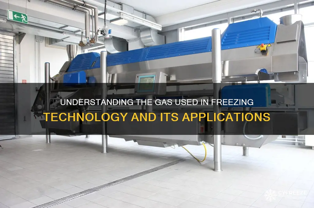 which gas is used in freeze