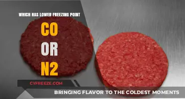 Comparing CO and N2: Which Gas Freezes at a Lower Temperature?