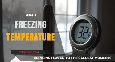 Understanding Freezing Temperatures: What You Need to Know